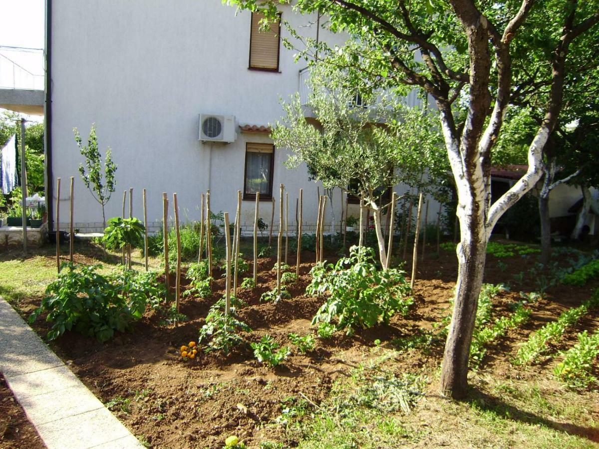 Čavle Apartment Carmen المظهر الخارجي الصورة